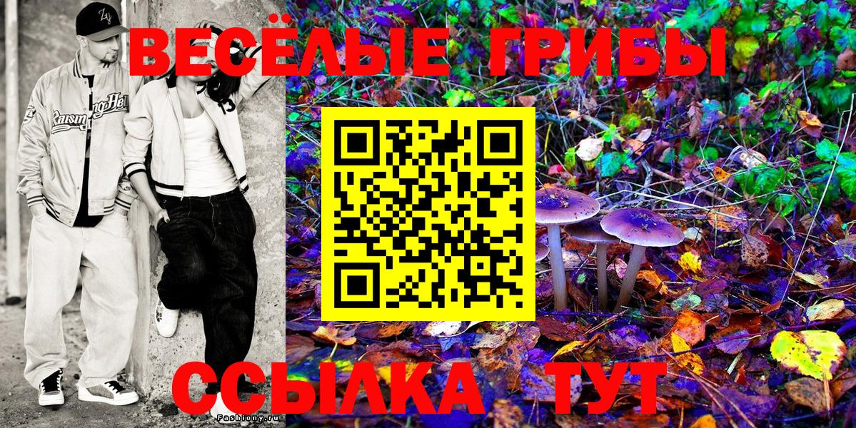 Псилоцибиновые грибы Magic Shrooms  Вход с VPN  Сарапул  где можно купить наркотик  Псилоцибиновые грибы Cubensis 